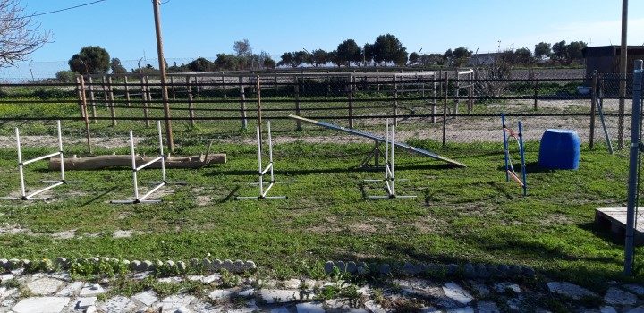 Outdoor play and agility equipment