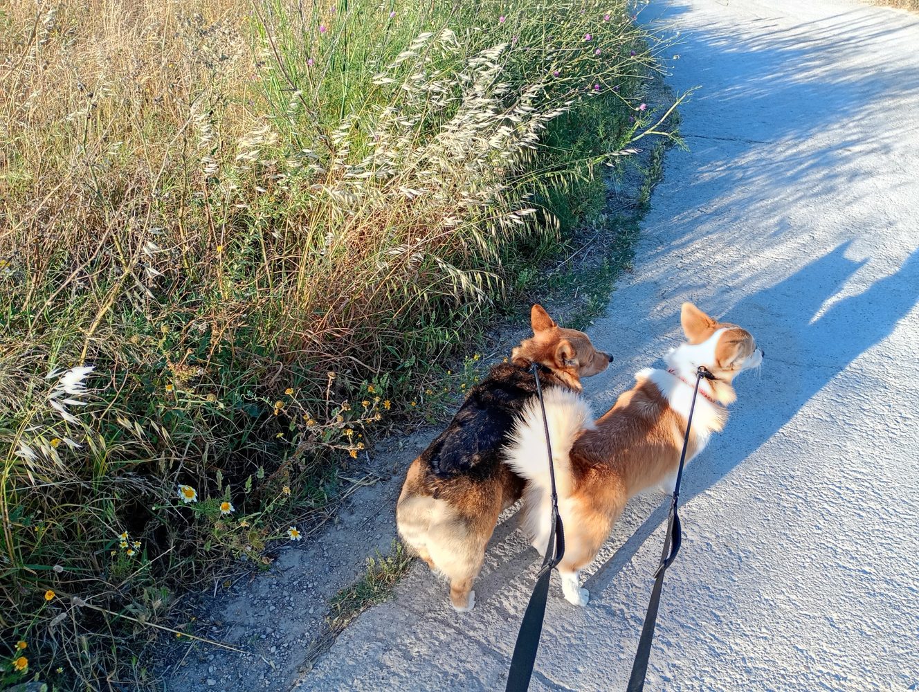 Exploring the countryside